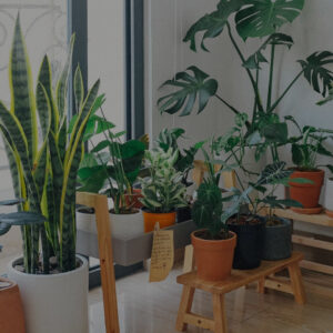 公司辦公室3D設計圖